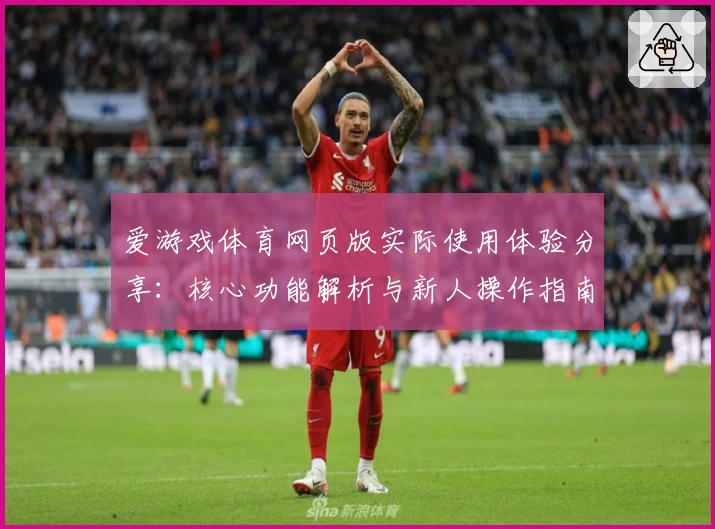 爱游戏体育网页版实际使用体验分享：核心功能解析与新人操作指南