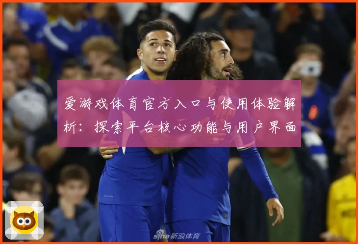 爱游戏体育官方入口与使用体验解析：探索平台核心功能与用户界面设计